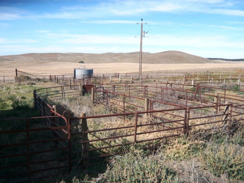 * 388.48ha Kercolo 960.12acs, Hallett SA 5419