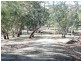 * 29.59ha Skilly 80.33acs, Clare SA 5453