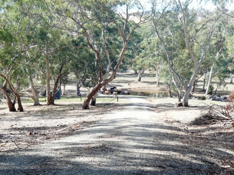 * 29.59ha Skilly 80.33acs, Clare SA 5453