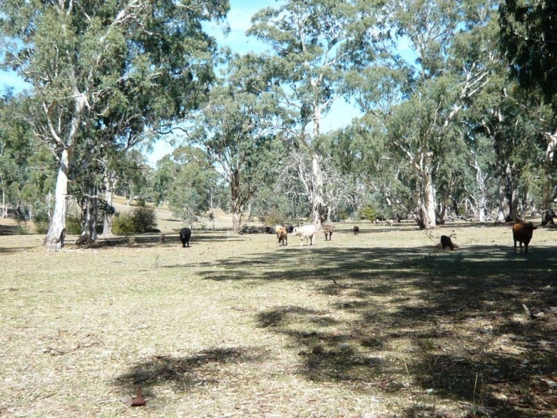 * 29.59ha Skilly 80.33acs, Clare SA 5453