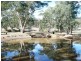 * 29.59ha Skilly 80.33acs, Clare SA 5453