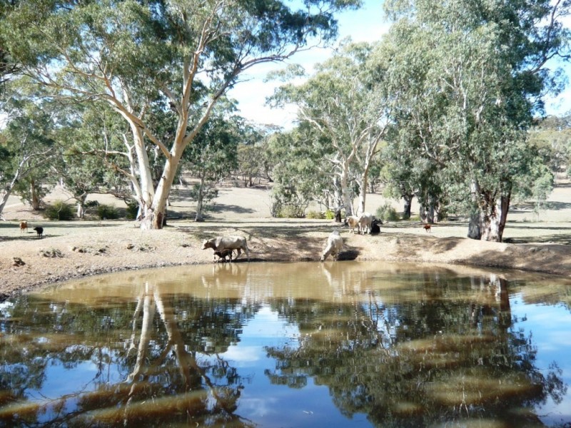 * 29.59ha Skilly 80.33acs, Clare SA 5453