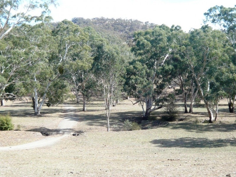 * 29.59ha Skilly 80.33acs, Clare SA 5453
