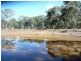 * 29.59ha Skilly 80.33acs, Clare SA 5453