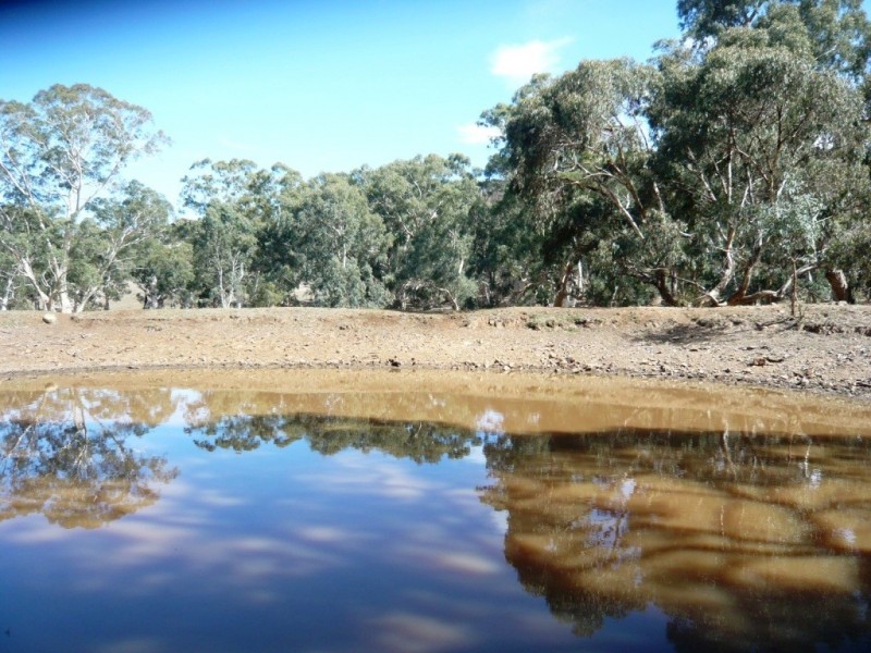 * 29.59ha Skilly 80.33acs, Clare SA 5453