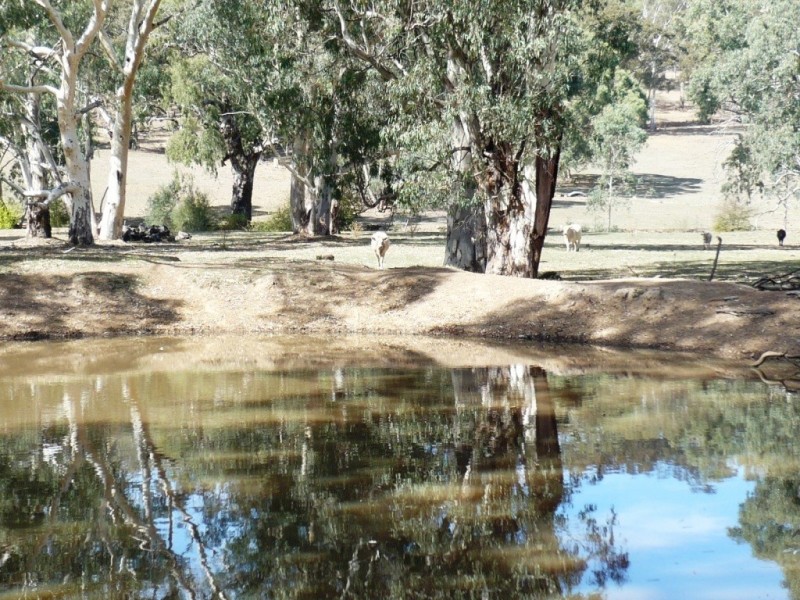 * 29.59ha Skilly 80.33acs, Clare SA 5453