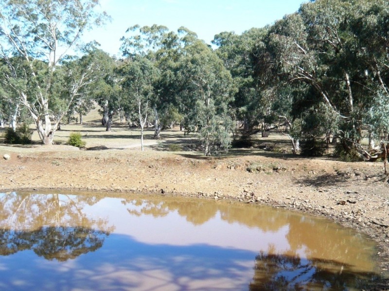 * 29.59ha Skilly 80.33acs, Clare SA 5453