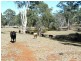 * 29.59ha Skilly 80.33acs, Clare SA 5453