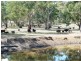 * 29.59ha Skilly 80.33acs, Clare SA 5453