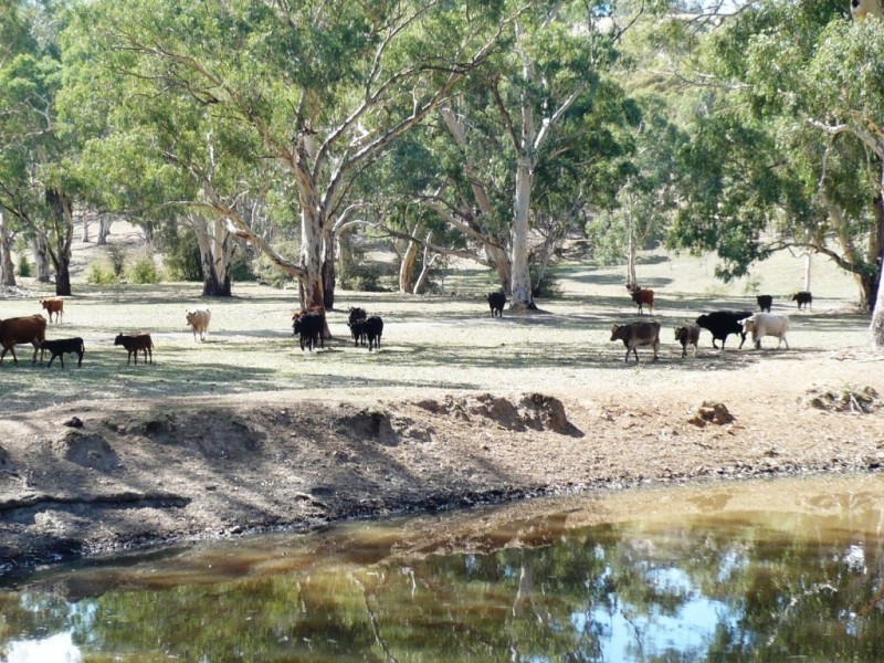 * 29.59ha Skilly 80.33acs, Clare SA 5453