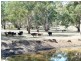 * 29.59ha Skilly 80.33acs, Clare SA 5453