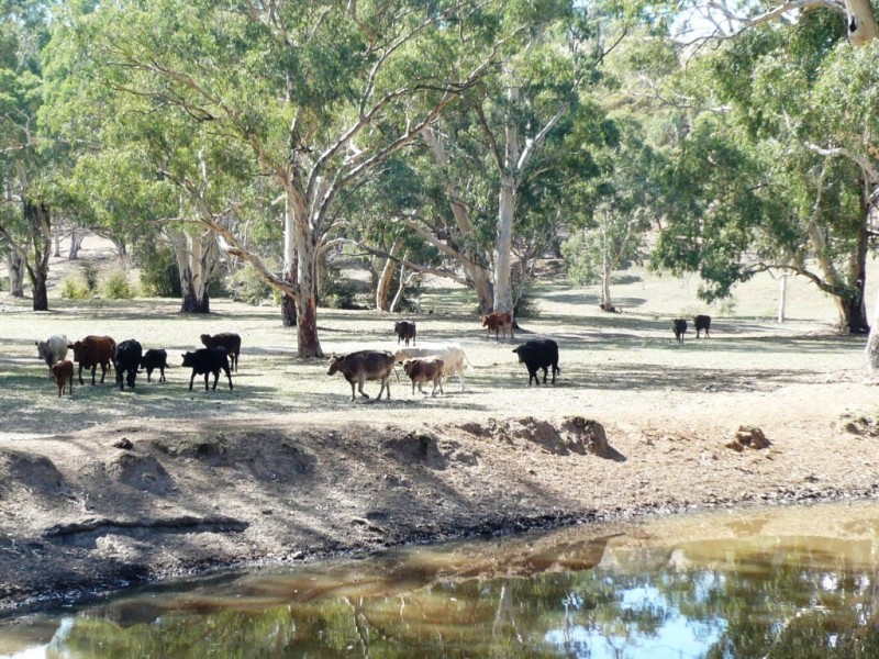 * 29.59ha Skilly 80.33acs, Clare SA 5453
