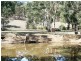 * 29.59ha Skilly 80.33acs, Clare SA 5453