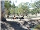 * 29.59ha Skilly 80.33acs, Clare SA 5453
