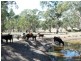* 29.59ha Skilly 80.33acs, Clare SA 5453