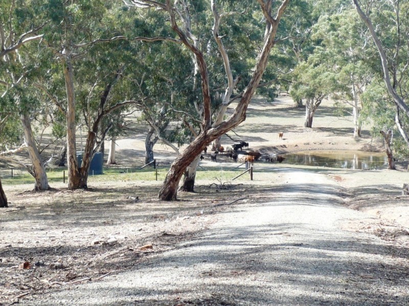 * 29.59ha Skilly 80.33acs, Clare SA 5453