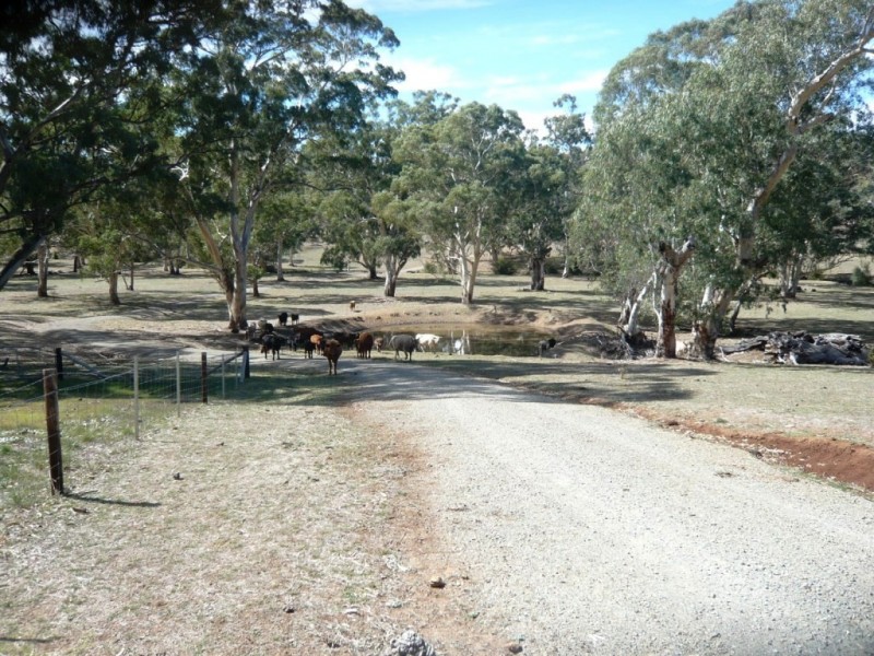 * 29.59ha Skilly 80.33acs, Clare SA 5453