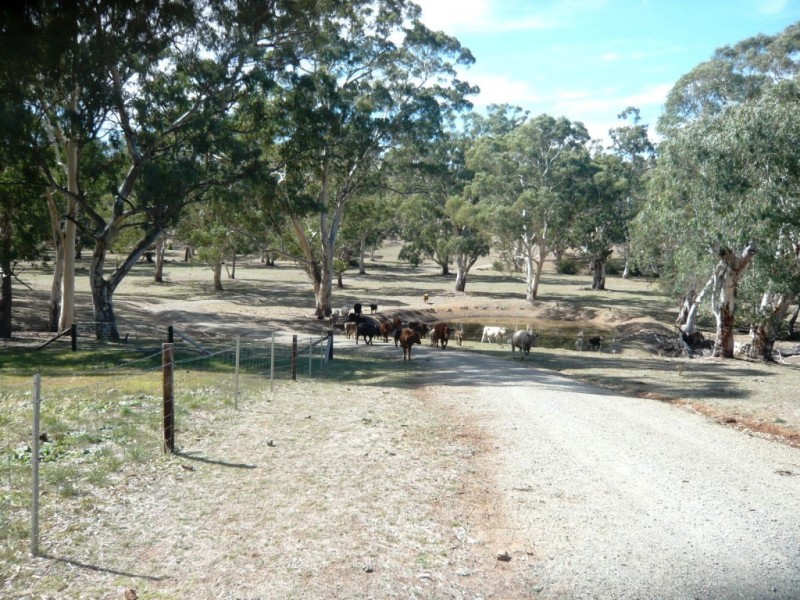 * 29.59ha Skilly 80.33acs, Clare SA 5453