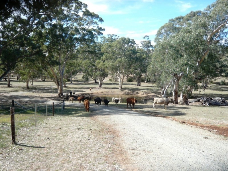 * 29.59ha Skilly 80.33acs, Clare SA 5453
