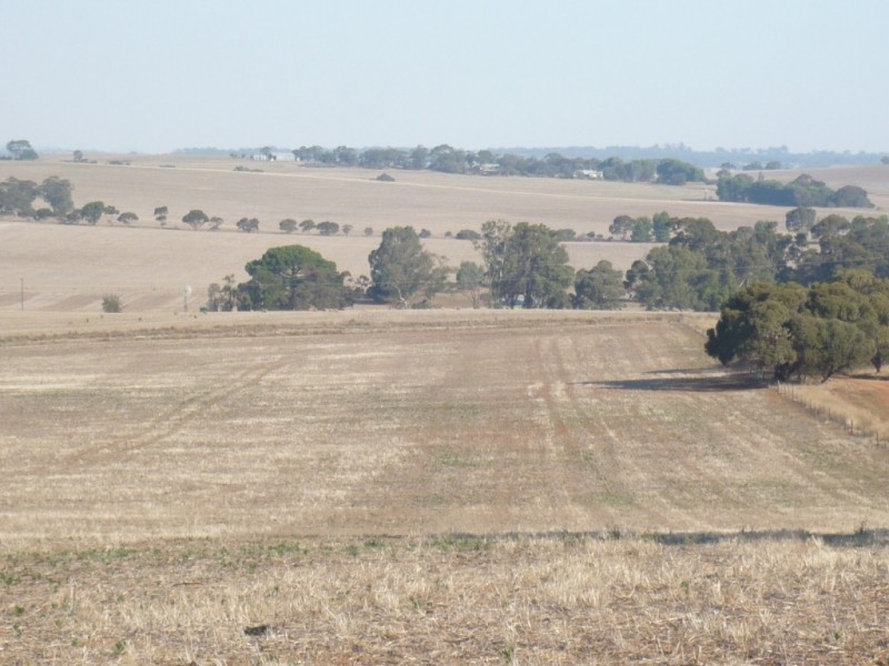 * 143.29ha DIXONS 325.5acs, Auburn SA 5451