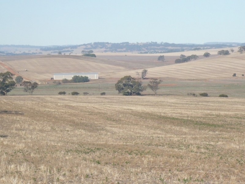 * 143.29ha DIXONS 325.5acs, Auburn SA 5451