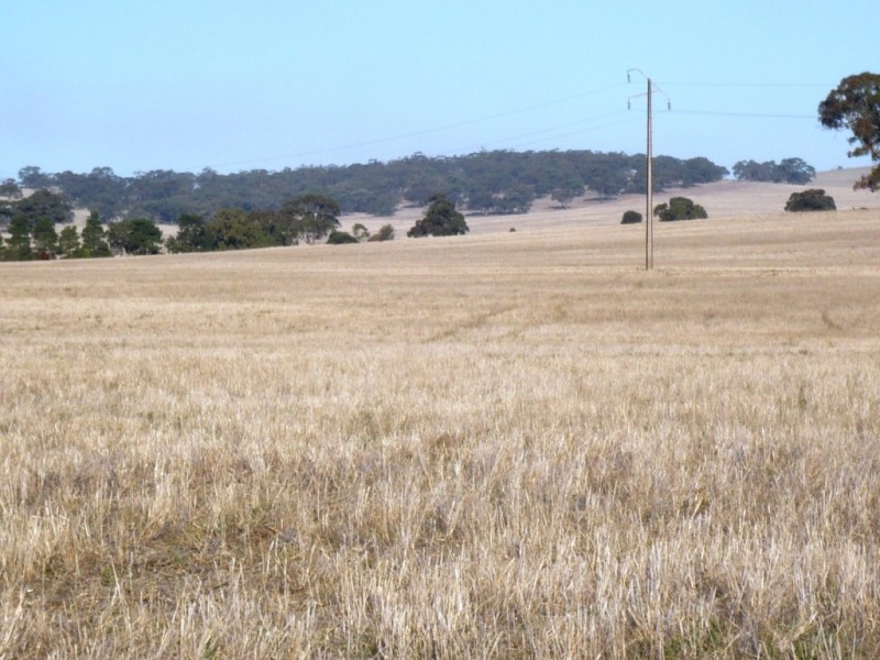 * 143.29ha DIXONS 325.5acs, Auburn SA 5451