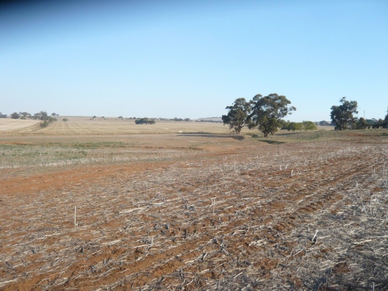 * 143.29ha DIXONS 325.5acs, Auburn SA 5451