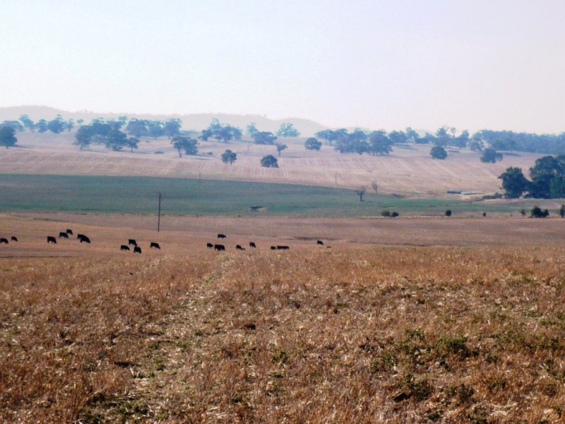 * 143.29ha DIXONS 325.5acs, Auburn SA 5451