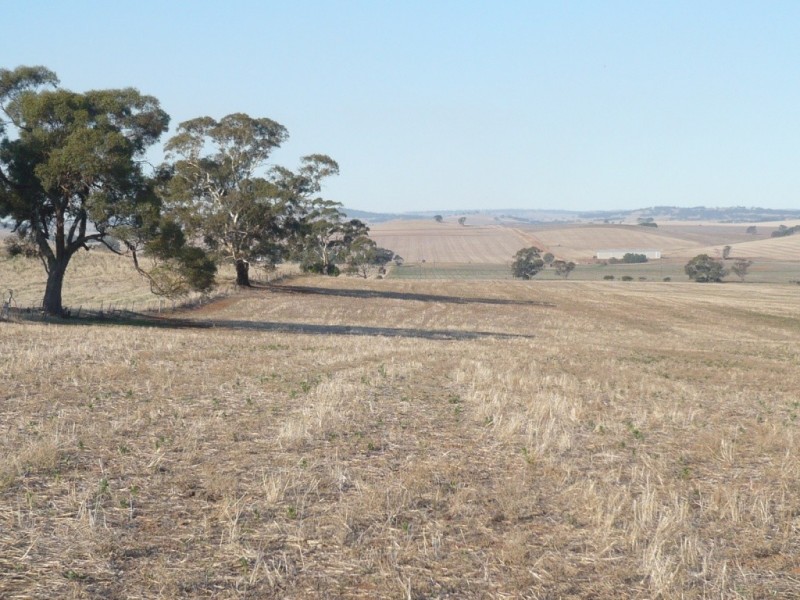 * 143.29ha DIXONS 325.5acs, Auburn SA 5451
