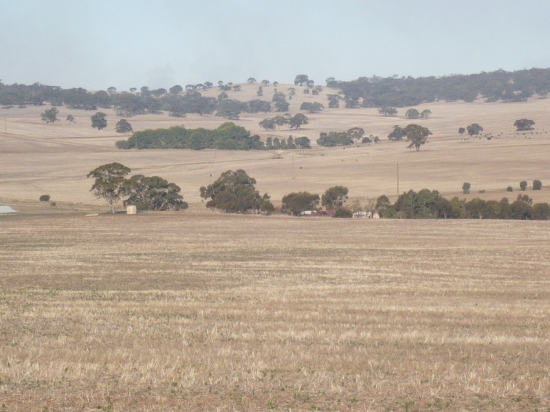 * 143.29ha DIXONS 325.5acs, Auburn SA 5451