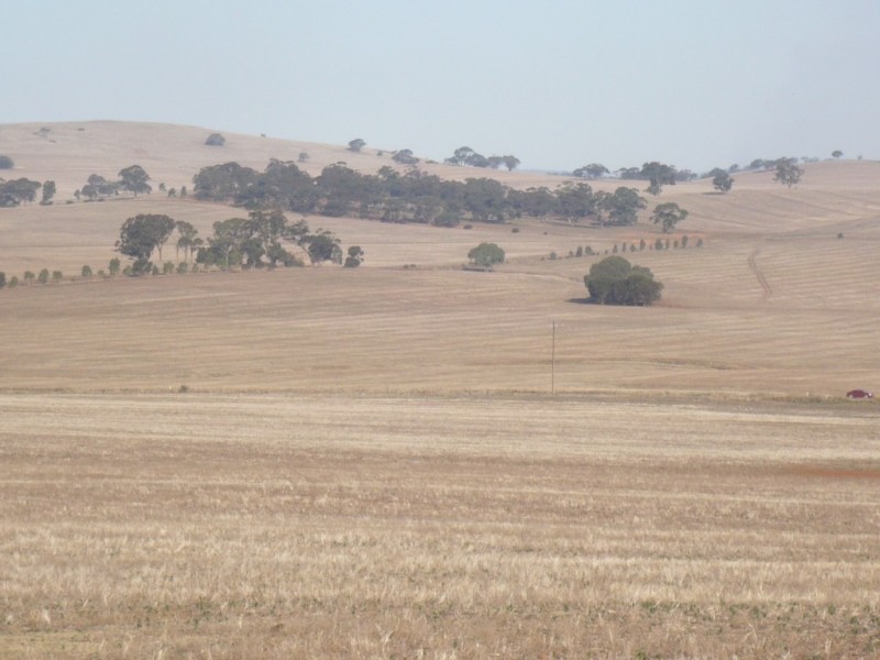 * 143.29ha DIXONS 325.5acs, Auburn SA 5451