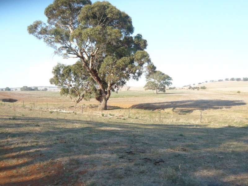 * 143.29ha DIXONS 325.5acs, Auburn SA 5451