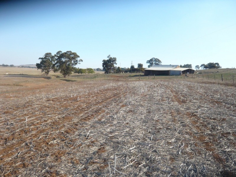 * 143.29ha DIXONS 325.5acs, Auburn SA 5451