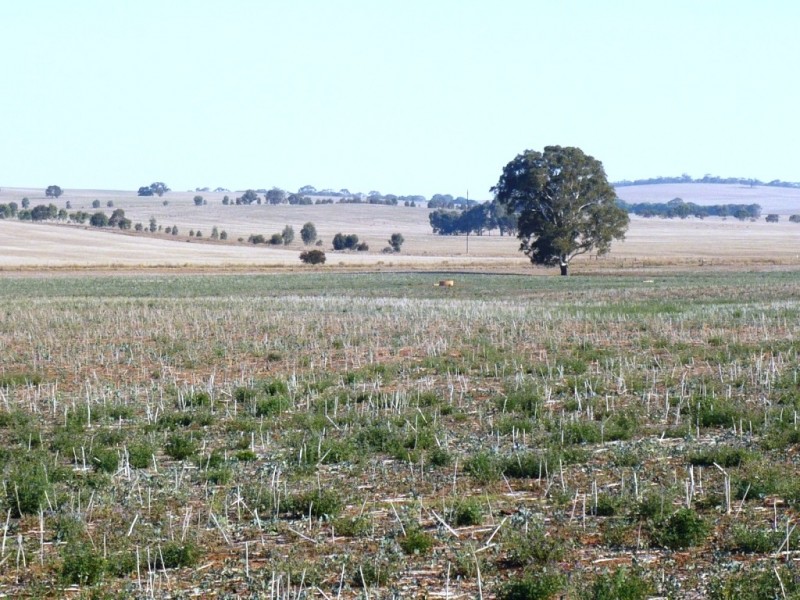 * 143.29ha DIXONS 325.5acs, Auburn SA 5451