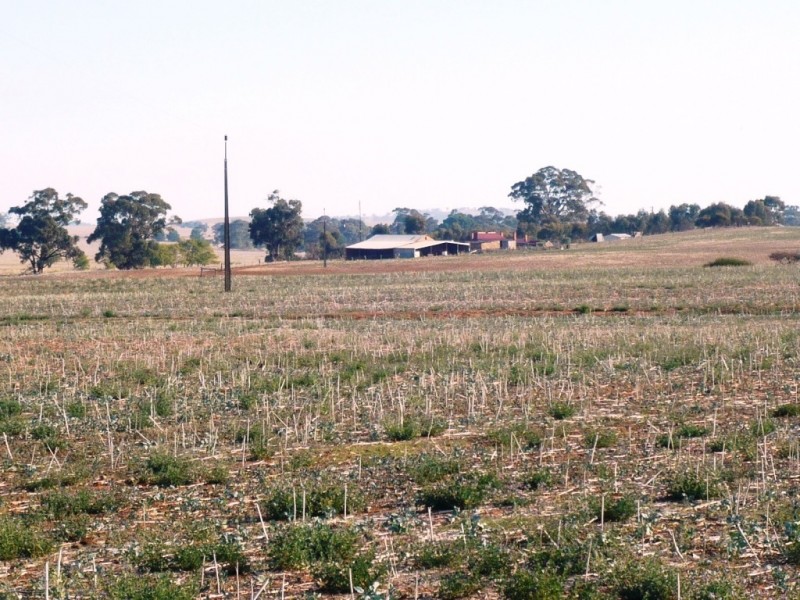 * 143.29ha DIXONS 325.5acs, Auburn SA 5451