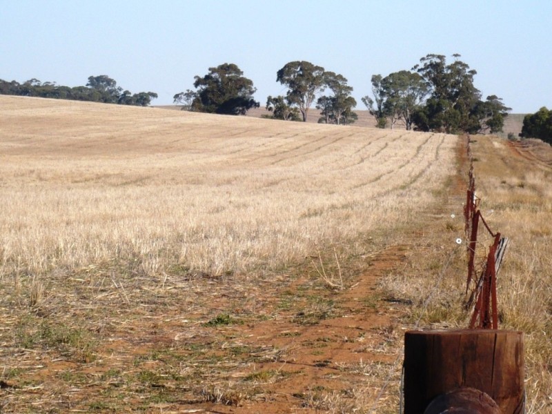 * 143.29ha DIXONS 325.5acs, Auburn SA 5451