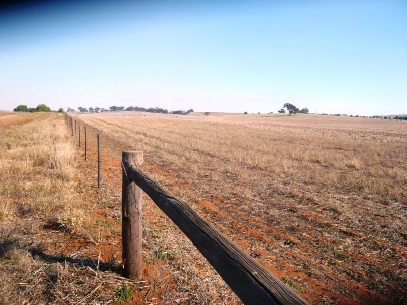 * 143.29ha DIXONS 325.5acs, Auburn SA 5451