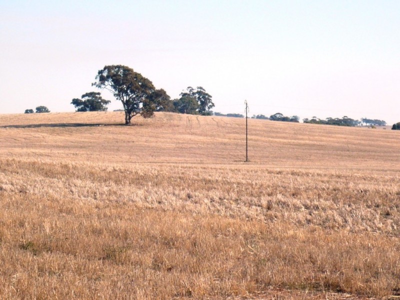 * 143.29ha DIXONS 325.5acs, Auburn SA 5451