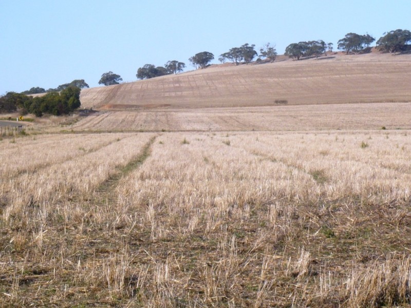 * 143.29ha DIXONS 325.5acs, Auburn SA 5451