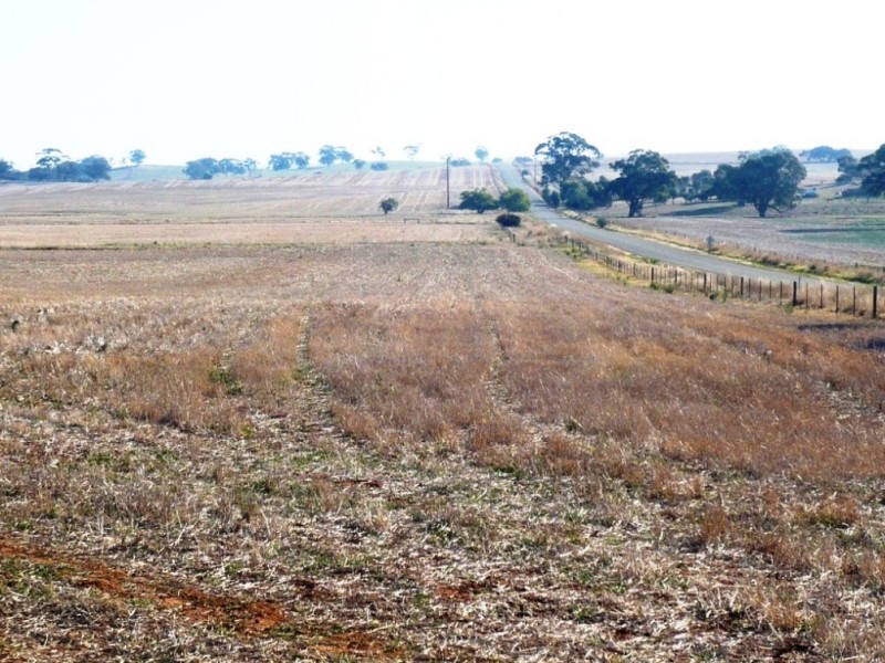 * 143.29ha DIXONS 325.5acs, Auburn SA 5451