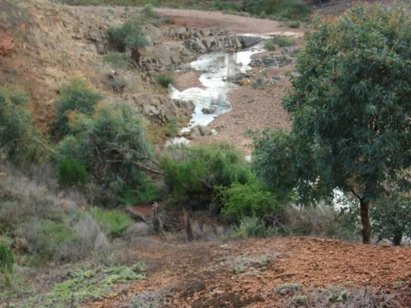 * CARRIETON TO CRADOCK ROAD, Carrieton SA 5432