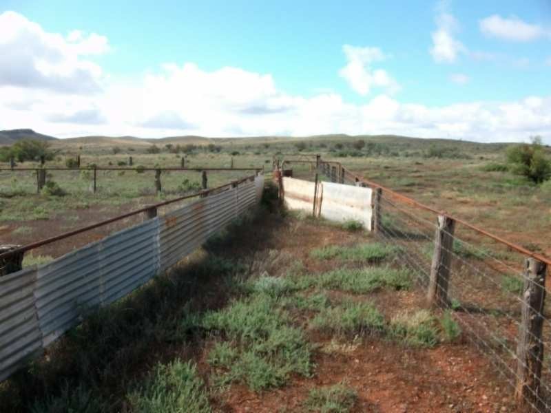* CARRIETON TO CRADOCK ROAD, Carrieton SA 5432
