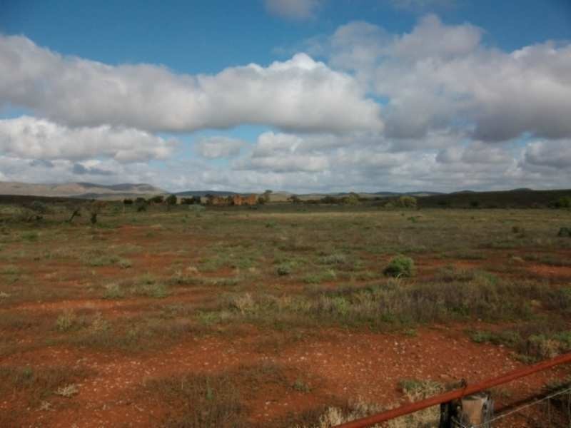 * CARRIETON TO CRADOCK ROAD, Carrieton SA 5432