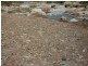 * CARRIETON TO CRADOCK ROAD, Carrieton SA 5432