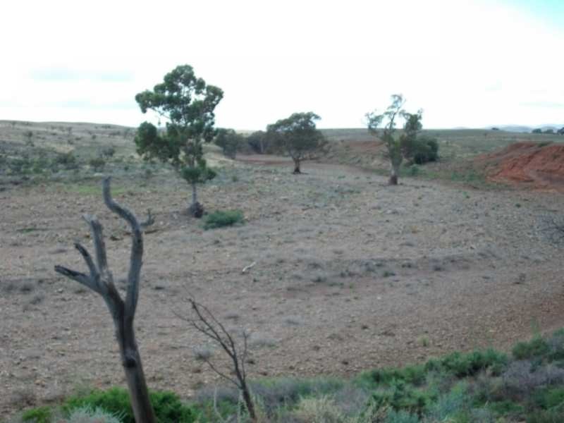* CARRIETON TO CRADOCK ROAD, Carrieton SA 5432