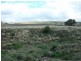 * CARRIETON TO CRADOCK ROAD, Carrieton SA 5432
