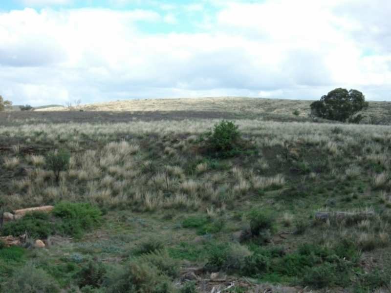 * CARRIETON TO CRADOCK ROAD, Carrieton SA 5432