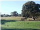 Lot 202 Scobie Road, Clare SA 5453