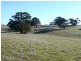 Lot 202 Scobie Road, Clare SA 5453