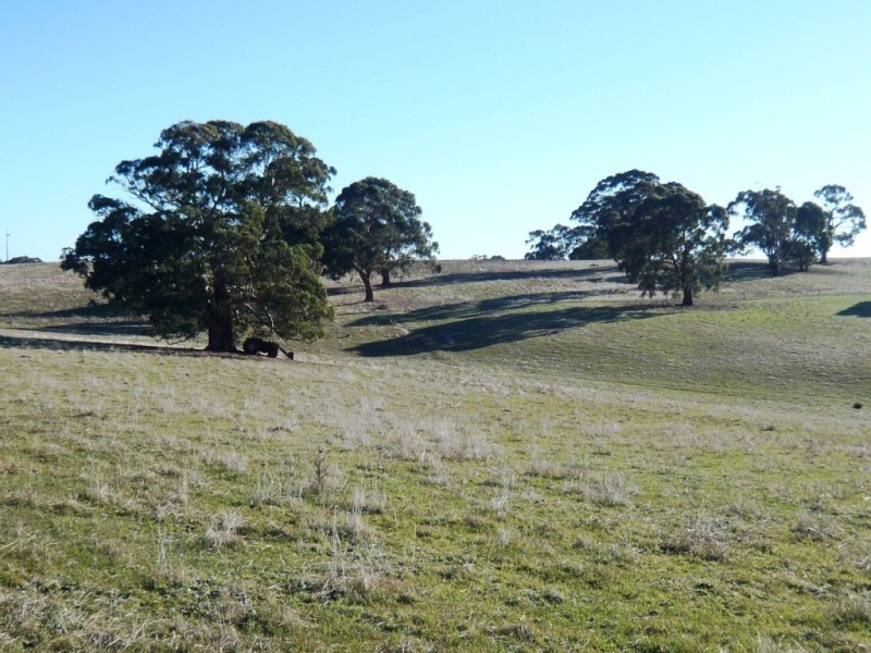 Lot 202 Scobie Road, Clare SA 5453